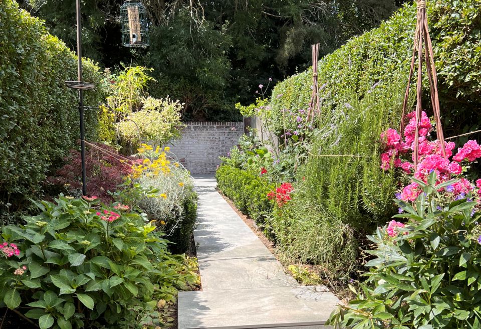 Small garden, Norwich 